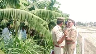 मामा अन् भाच्याने केली दारुची पार्टी, शेवटी अर्धनग्नावस्थेत आढळला एकाचा मृतदेह Mumbai Tak