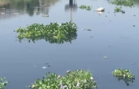 मुंबईची खबर : मीठी नदीची 80 टक्के स्वच्छता खरंच पूर्ण झाली का? Mumbai News