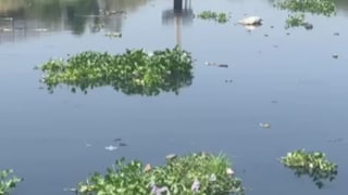 मुंबईची खबर : मीठी नदीची 80 टक्के स्वच्छता खरंच पूर्ण झाली का? Mumbai Tak