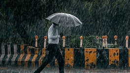 मुंबईची खबर : मुंबईकरांनो पुढील तीन तास महत्त्वाचे, जोरदार पाऊस बरसणार; अलर्ट जारी Mumbai Rains