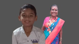 सातारा: शेळीला वाचवायला गेलेल्या नातवाला विजेचा झटका, आजी वाचवायला गेली अन्.. satara news