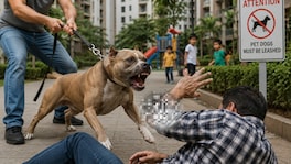 मीरा रोडमधील उच्चभ्रू सोसायटीत पिटबुल कुत्र्याचा भयंकर हल्ला; रहिवाशांमध्ये भीतीचे वातावरण incident involving an attack by a pitbull mix dog at a housing complex in mira road atmosphere of fear among residents