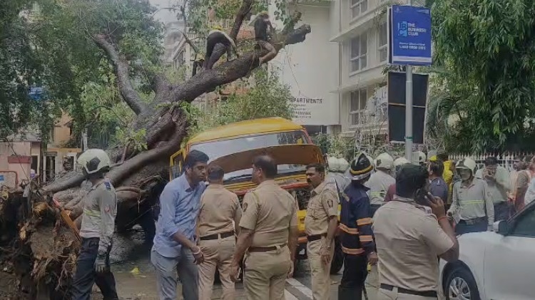 Mumbai News