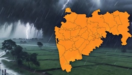 Maharashtra Weather : राज्यावर पावसाचं मोठं संकट, 11 जिल्ह्यांना ऑरेंज अलर्ट Maharashtra Weather