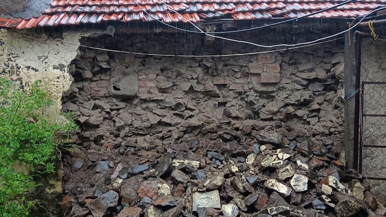 साताऱ्यात जिल्हा परिषदेच्या शाळेची भिंत गोठ्यावर कोसळली, जनावरांचा मृत्यू Maharashtra Monsoon