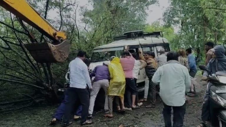 साताऱ्यात जीपवर झाड कोसळून सहा जण जखमी, प्रवाशांची ओळख समोर Maharashtra monsoon