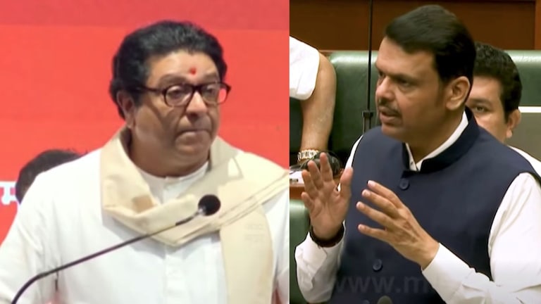 "मुख्यमंत्री आहेस ना तू..", फडणवीसांच्या विधानसभेतील भाषणावरुन राज ठाकरे संतापले Raj Thackeray on Devendra Fadnavis