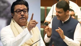राज ठाकरेंना मुख्यमंत्र्यांचं जोरदार प्रत्युत्तर, म्हणाले... Devendra Fadnavis
