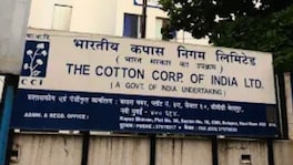 Govt Jobs : कॉटन कॉर्पोरेशन ऑफ इंडियामध्ये भरती सुरु, एक लाखाहून अधिक पगार, लगेच करा अर्ज Cotton Corporation Recruitment