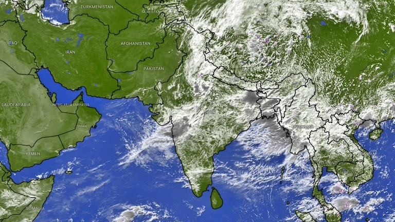 Monsoon Update: पावसाने का घेतला अचानक ब्रेक? 'ही' 2 कारणं महत्त्वाची! Mumbai Tak