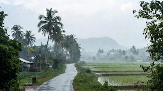 Maharashtra Weather : राज्यात 'या' जिल्ह्यांत पावसाची हजेरी लागणार, हवामान विभागाची अपडेट Mumbai Tak