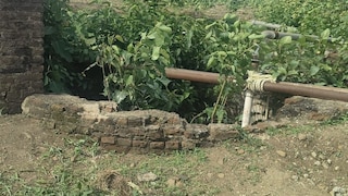 जालना: मुलगा अंध जन्मल्याचा राग, नवऱ्यासह सासूने दोघांना विहिरीत फेकलं Mumbai Tak