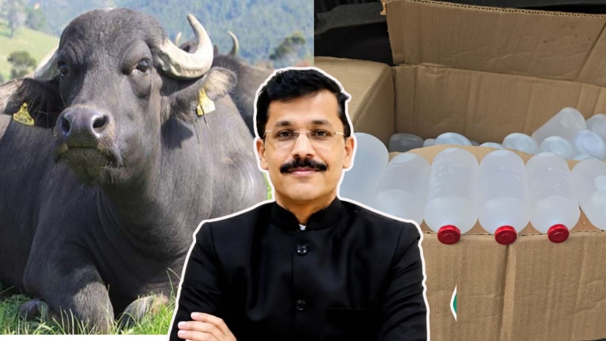 ’म्हशीने लवकर दूध द्यावे म्हणून ते इंजेक्शन..’, मुंढेंच्या नेतृत्वात FDA ची तगडी कारवाई, काय घडलं? 