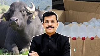 ’म्हशीने लवकर दूध द्यावे म्हणून ते इंजेक्शन..’, मुंढेंच्या नेतृत्वात FDA ची तगडी कारवाई, काय घडलं? Mumbai Tak