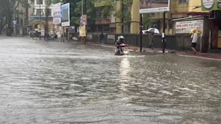 वसई-विरारला पावसाने झोडपलं, जनजीवन विस्कळीत; पालघर जिल्ह्यात शाळांना सुट्टी Mumbai Tak