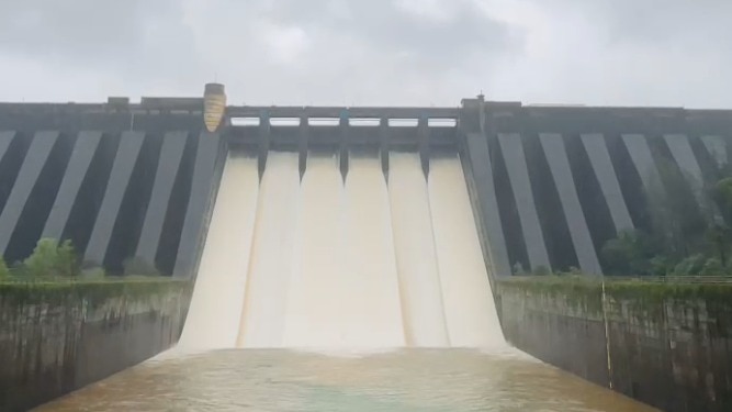 Koyna Dam: तुफान पावसाने कोयना धरण तुडुंब, तब्बल 6 दरवाजे उघडले!