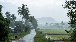 Maharashtra Weather : राज्यात पावसाचा वेग मंदावला, तरीही 'या' जिल्ह्यांना IMD चा अलर्ट Maharashtra Weather ( AI Generated Photo)