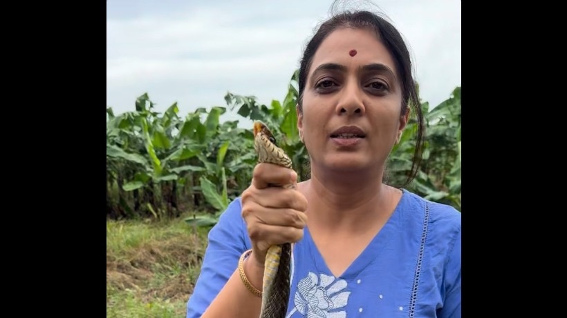 “माणसातला विषारी साप हसत हसत डसतो!” भल्या मोठ्या सापासोबत Video अन् रोहिणी खडसेंची 'ती' पोस्ट