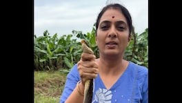 “माणसातला विषारी साप हसत हसत डसतो!” भल्या मोठ्या सापासोबत Video अन् रोहिणी खडसेंची 'ती' पोस्ट ncp sp leader and eknath khadse daughter rohini khadse snake video political post maharashtra politics