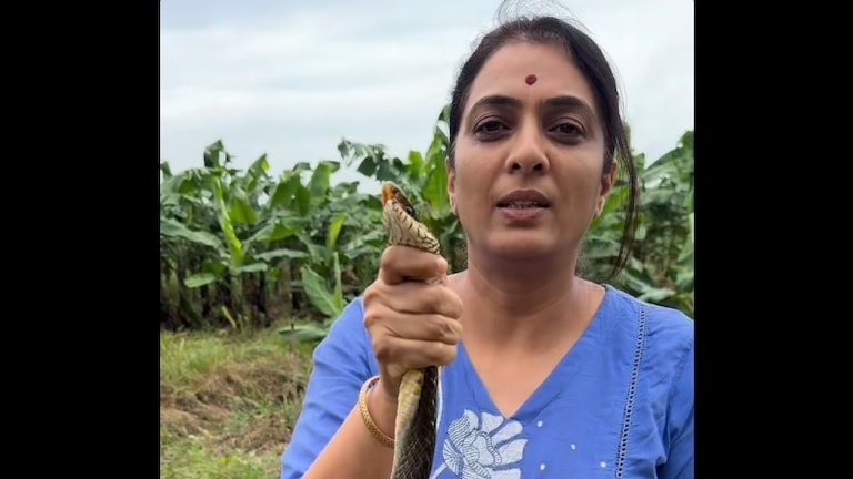 “माणसातला विषारी साप हसत हसत डसतो!” भल्या मोठ्या सापासोबत Video अन् रोहिणी खडसेंची 'ती' पोस्ट ncp sp leader and eknath khadse daughter rohini khadse snake video political post maharashtra politics