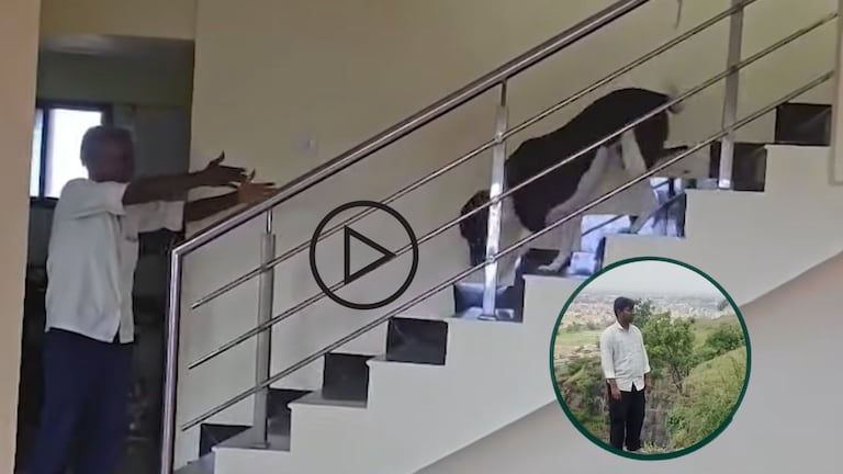 72 तास कुणालच्या कुत्र्यानं घरी काय केलं? आजोबा पोहोचताच धावत आला आणि... Chhatrapati Sambhajinagar Suicide Case