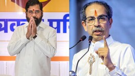 ‘ऑपरेशन टायगर’च्या दिशेने शिंदेसेनेची वाटचाल; ठाकरेंच्या 16 नगरसेवकांवर टांगती तलवार Mumbai Mahapalika Politics