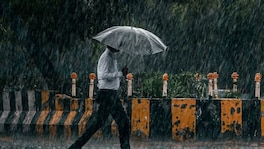 वेदर रिपोर्ट : मराठवाड्याला दिलासा मिळणार? कोणत्या तारखांना मुसळधार पाऊस? Maharashtra Weather
