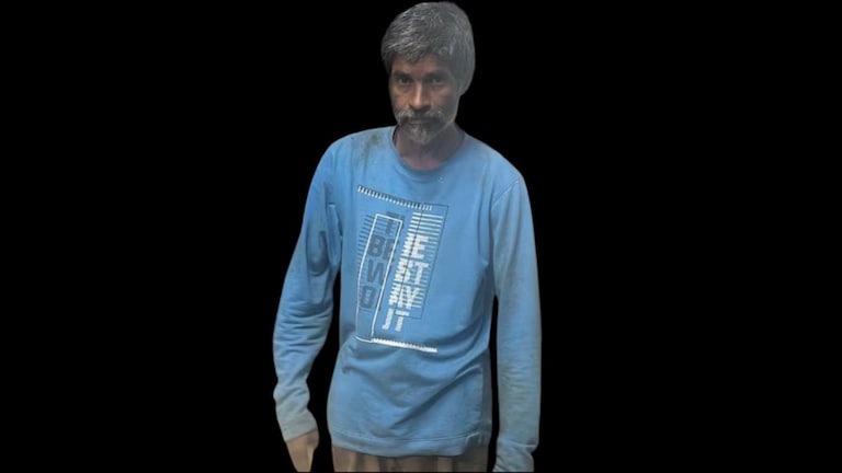 मुंबईत सहा मांजरांसह एका पिल्लाला संपवलं, विखुरलेले आढळले मृतदेह Mumbai crime
