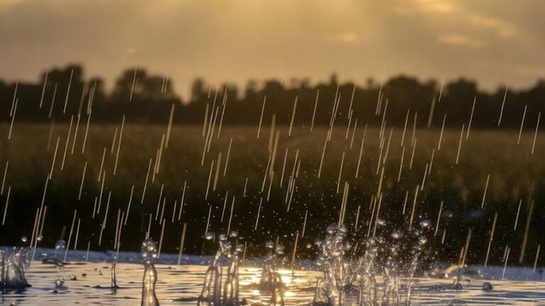 वेदर रिपोर्ट : परतीच्या पावसाबद्दल काय म्हणालं हवामान खातं? Maharashtra Weather