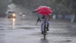 चक्राकार वाऱ्यांमुळे मुसळधार पाऊस, जोर वाढणार; कुठे-कुठे येलो अलर्ट? Weather Update