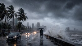 Maharashtra Weather : राज्यात पुढील काही तासांत धो धो बरसणार वरुणराजा, IMD चा अलर्ट maharashtra rain depression imd alert monsoon weather forecast 15 aug 2026