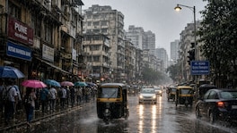 Maharashtra Weather : राज्यात पाऊस घालणार धिंगाणा, 'या' जिल्ह्यांना IMD चा अंदाज Maharashtra Weather (AI Photo)