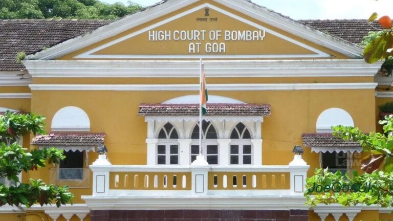 SIR प्रक्रियेतल्या त्रुटींवरून मुंबई हायकोर्टाने आयोगाने का झापलं? high court question to election commission