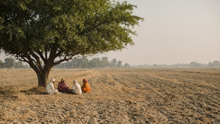 Maharashtra Weather : राज्यातील वातावरण फिरलं, 'हे' जिल्हे तापमानाने उकडणार Maharashtra weather (AI Photo)