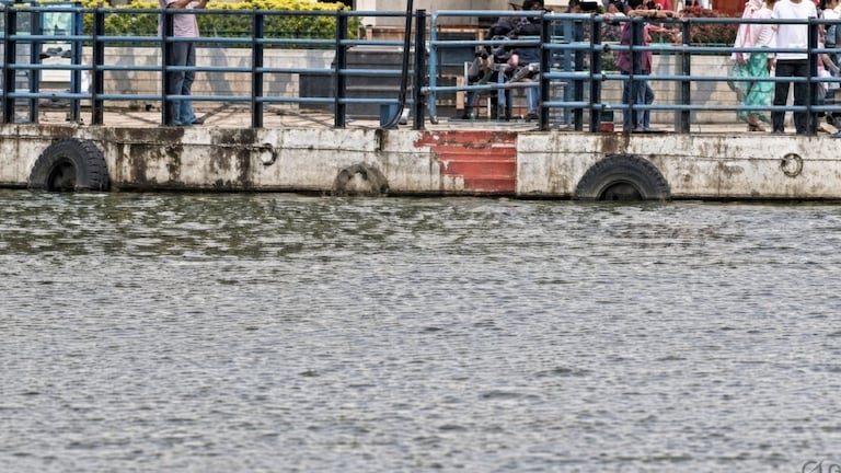 उपचारांचा खर्च परवडत नव्हता, आईने सहा वर्षांच्या लेकीला तलावात फेकलं crime news