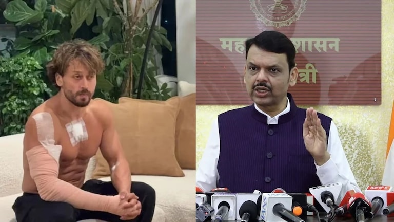"डरपोक लोकं, कुठेतरी लपून बसतात..", टायगर श्रॉफवरील हल्ल्यानंतर मुख्यमंत्री काय म्हणाले? Devendra Fadnavis statement