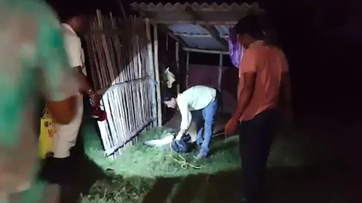 आधी स्वत:चे बोट कापले, नंतर बायकोचे शीर धडावेगळे केले अन् वृद्ध वडिलांना...