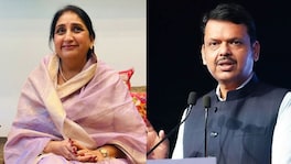 सुनेत्रा पवार राज्याच्या अर्थमंत्री होणार? राष्ट्रवादीची बैठक अन् फडणवीसांच्या भेटीगाठी; काय घडतंय? Sunetra Pawar