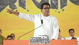 'मी जंगलाच्या अंतिम संस्काराला आलोय...' कर्जतमधील वृक्षतोडीवरून राज ठाकरेंचा संताप Raj Thackeray