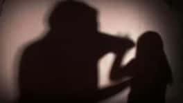 वहिनी गच्चीवर गेली अन् दीरानं साधला डाव, आठ महिन्यानंतर हादरवून टाकणारं प्रकरण उघड Crime News