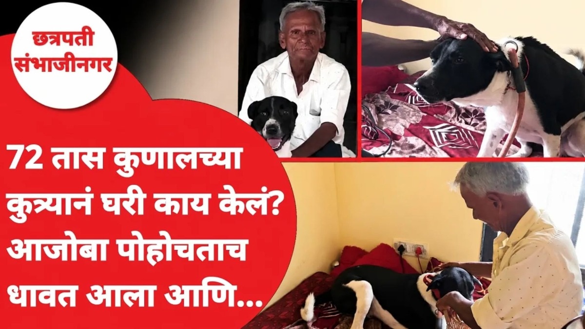72 तास कुणालच्या कुत्र्यानं घरी काय केलं? आजोबा पोहोचताच धावत आला आणि...