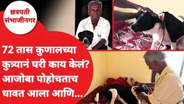 72 तास कुणालच्या कुत्र्यानं घरी काय केलं? आजोबा पोहोचताच धावत आला आणि... Chhatrapati Sambhajinagar Suicide Case
