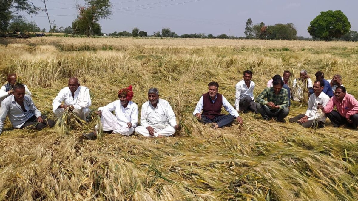 Weather News, Today Weather, MP News, News Update, Madhya Pradesh, Rain