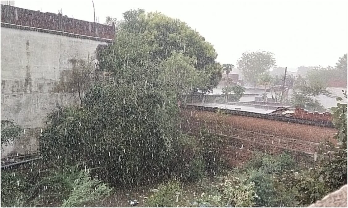 Unseasonal rains in Madhya Pradesh, hailstorm caused farmers to face heavy loss of crops