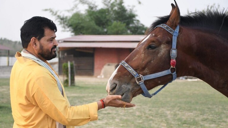 थेट राज ठाकरेंना आव्हान देणारे ब्रिजभूषण सिंह कसे बनले ‘राजकीय बाहुबली’? Mumbai Tak