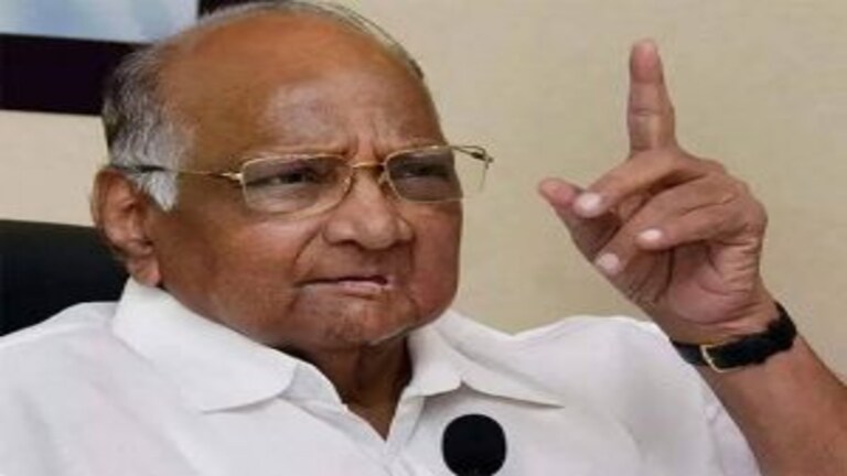 ईडीच्या चार्जशीटमध्ये शरद पवारांचा उल्लेख करण्यामागचं कारण आहे तरी काय? Mumbai Tak