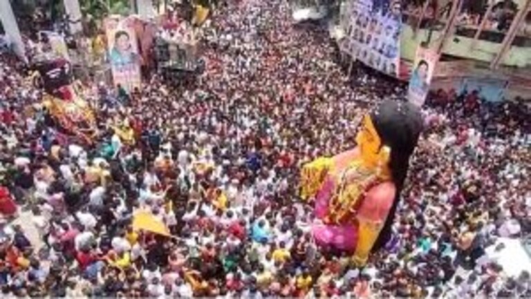 काय आहे फक्त नागपुरात साजरा होणाऱ्या अनोख्या मारबत, बडग्या उत्सवाचा इतिहास? Mumbai Tak