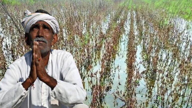 परतीच्या पावसामुळं मराठवाड्यातील शेती संकटात; शापित शेतकर्यांचं दृष्टचक्र कधी संपणार? Mumbai Tak