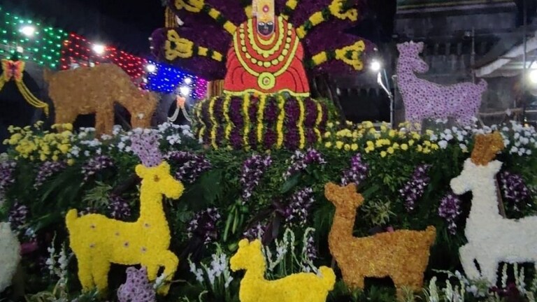 आई तुळजाभवानी मंचकी निद्रा पूर्ण करून सिंहासनावर विराजमान Mumbai Tak