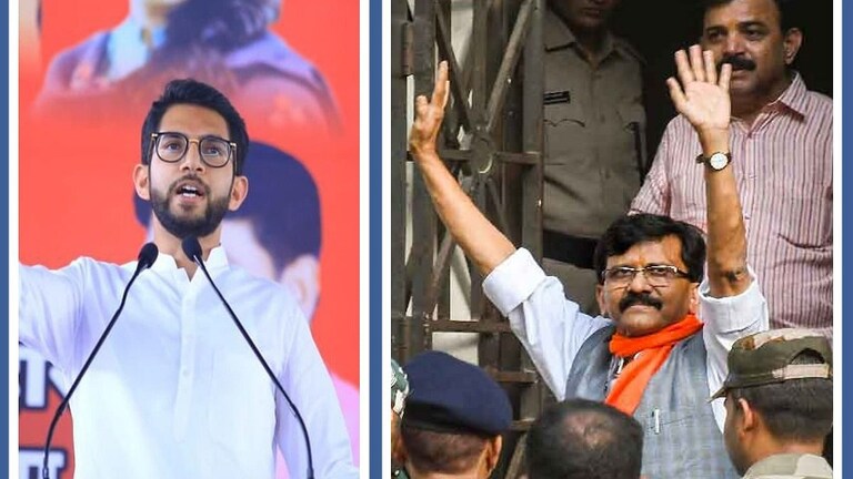 संजय राऊत यांच्या अटकेनंतर आदित्य ठाकरेंची पहिली प्रतिक्रिया, म्हणाले “हे सगळं तर…” Mumbai Tak